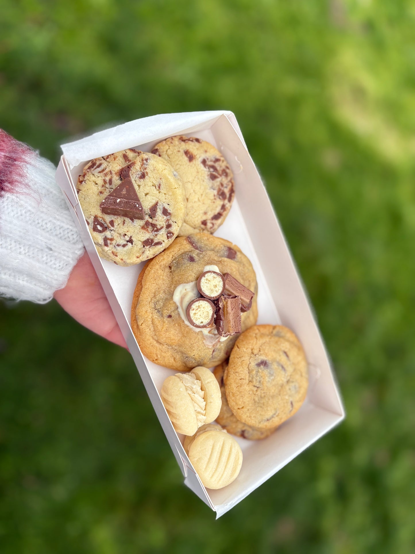 Father’s Day Bickie Box